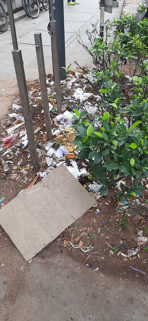 The State and the Society (3)